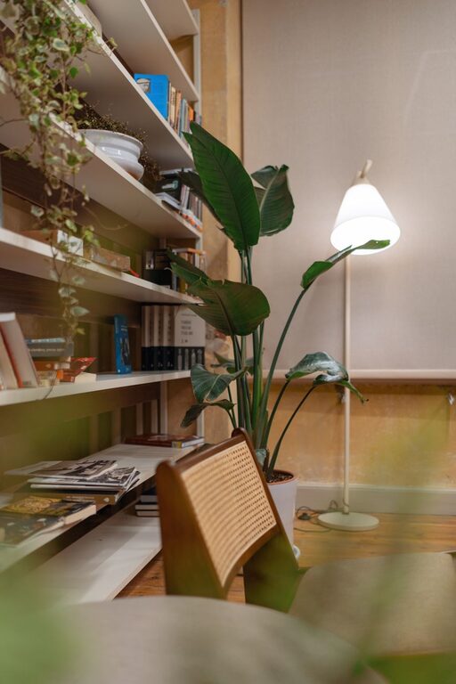 How to Create a Cozy Reading Nook in Your Home